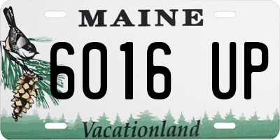 ME license plate 6016UP
