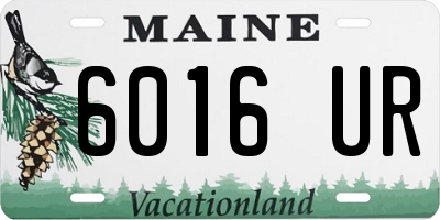 ME license plate 6016UR