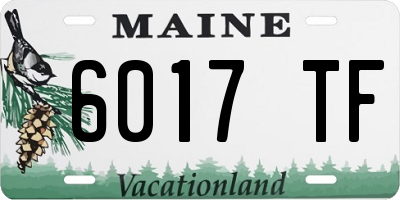 ME license plate 6017TF
