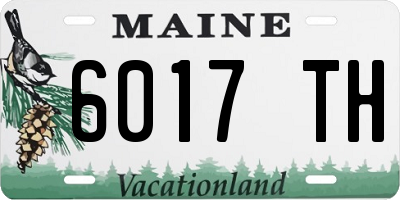 ME license plate 6017TH