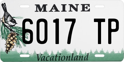 ME license plate 6017TP