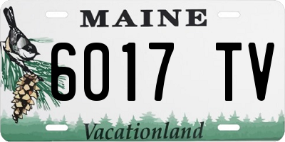 ME license plate 6017TV