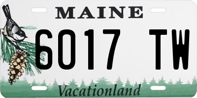 ME license plate 6017TW