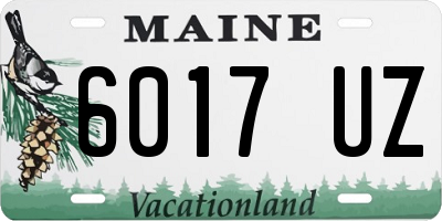 ME license plate 6017UZ