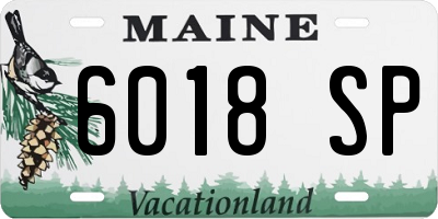 ME license plate 6018SP