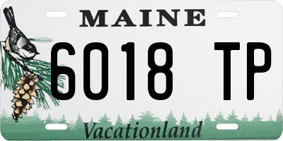 ME license plate 6018TP