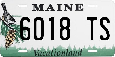 ME license plate 6018TS