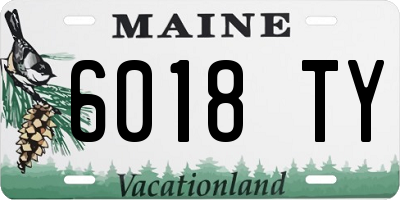 ME license plate 6018TY