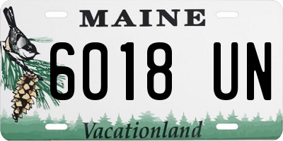 ME license plate 6018UN