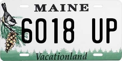 ME license plate 6018UP