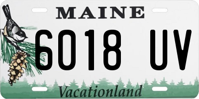 ME license plate 6018UV
