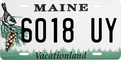 ME license plate 6018UY