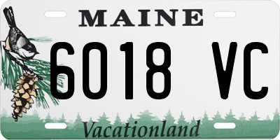 ME license plate 6018VC