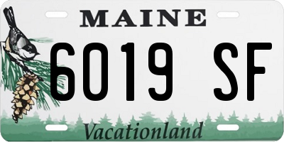 ME license plate 6019SF