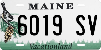 ME license plate 6019SV