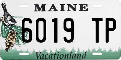 ME license plate 6019TP