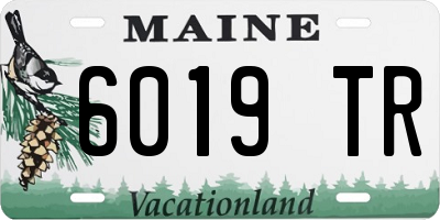 ME license plate 6019TR