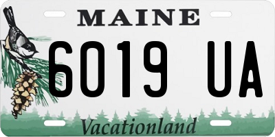 ME license plate 6019UA