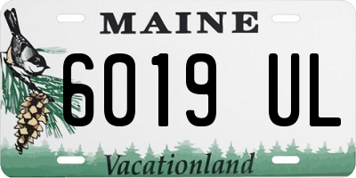 ME license plate 6019UL