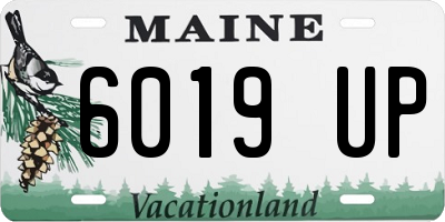 ME license plate 6019UP