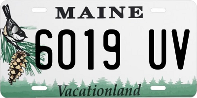 ME license plate 6019UV