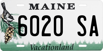 ME license plate 6020SA