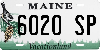 ME license plate 6020SP