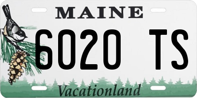 ME license plate 6020TS