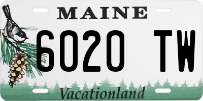 ME license plate 6020TW