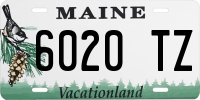 ME license plate 6020TZ