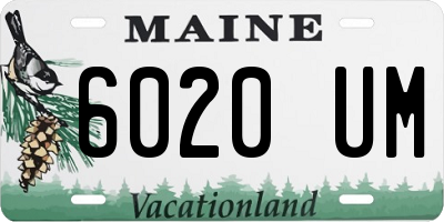 ME license plate 6020UM