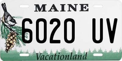 ME license plate 6020UV