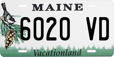 ME license plate 6020VD