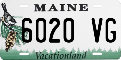 ME license plate 6020VG