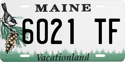 ME license plate 6021TF