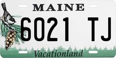 ME license plate 6021TJ