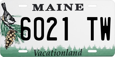 ME license plate 6021TW