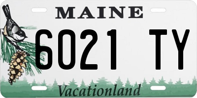 ME license plate 6021TY