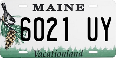 ME license plate 6021UY