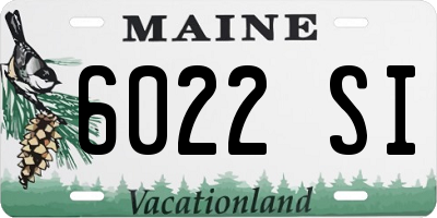 ME license plate 6022SI
