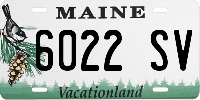 ME license plate 6022SV