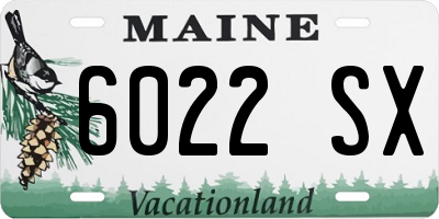 ME license plate 6022SX