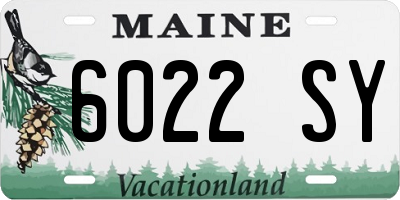 ME license plate 6022SY