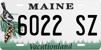 ME license plate 6022SZ