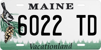 ME license plate 6022TD