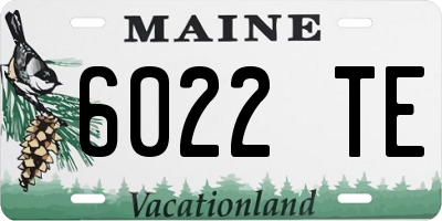 ME license plate 6022TE