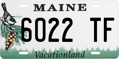 ME license plate 6022TF