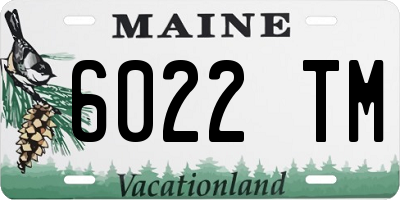 ME license plate 6022TM