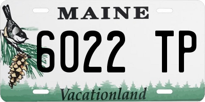 ME license plate 6022TP
