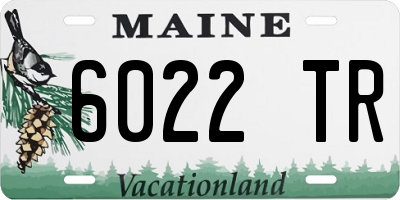 ME license plate 6022TR